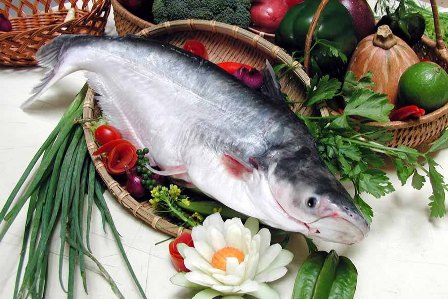Ikan patin VN masuk daftar "Menuju ke pengakuan berkesinambungan" dari WWF